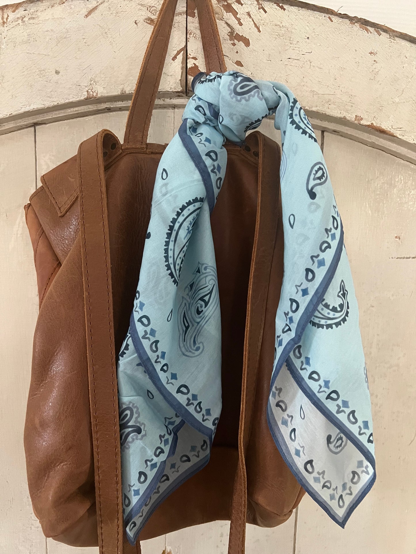 XO Art & Company scarves Shorties