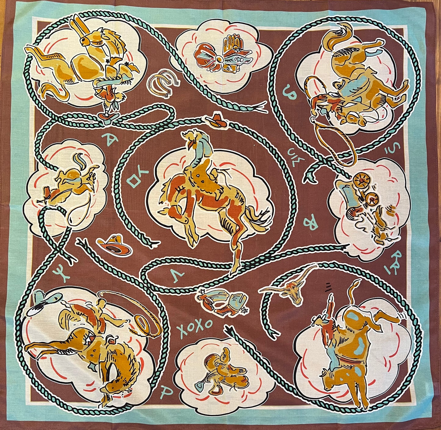 XOXO Art & Company scarves Shorties