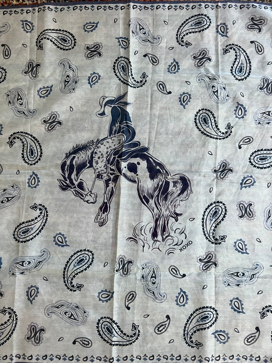 XO Art & Company scarves Shorties