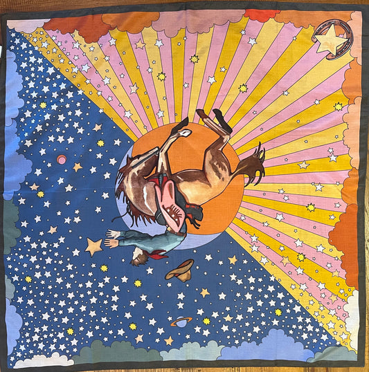 XOXO Art & Company scarves Shorties